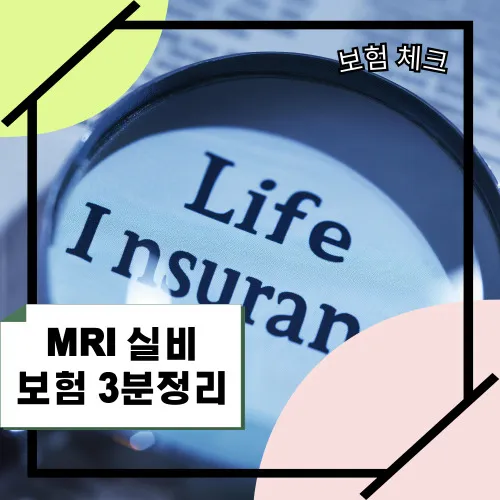 MRI-실비