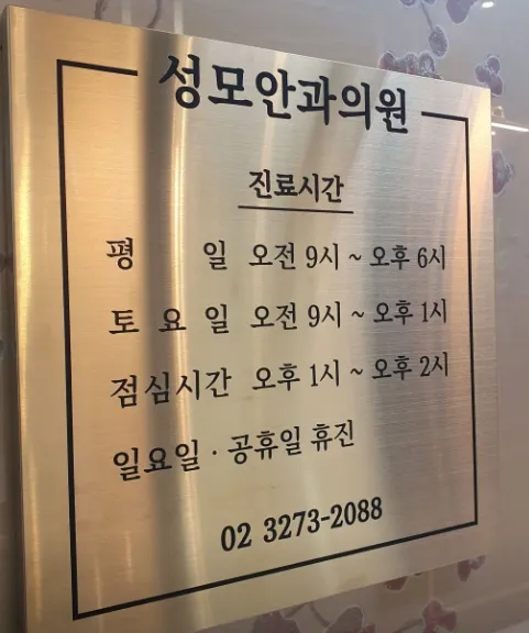 성모안과