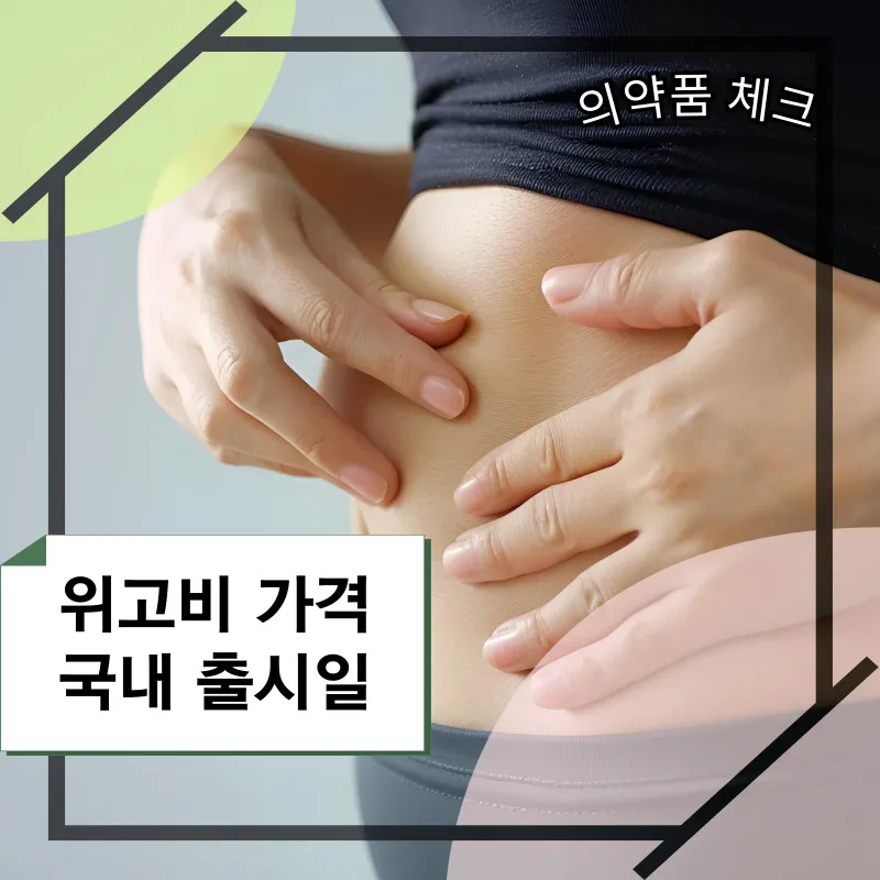 위고비-가격