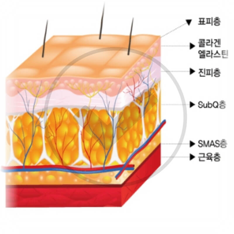 스마스층