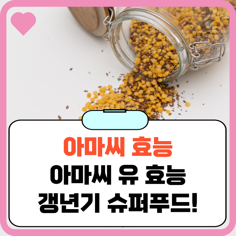 아마씨-효능