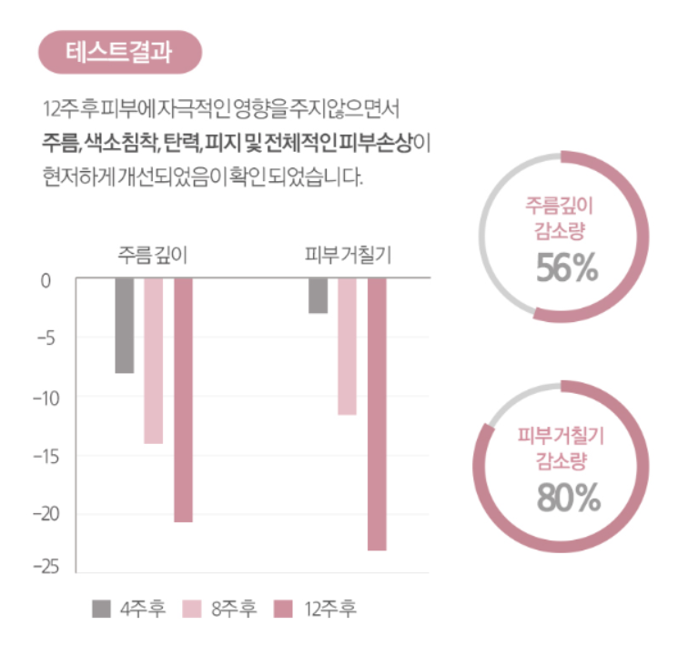 콜라겐-분자크기