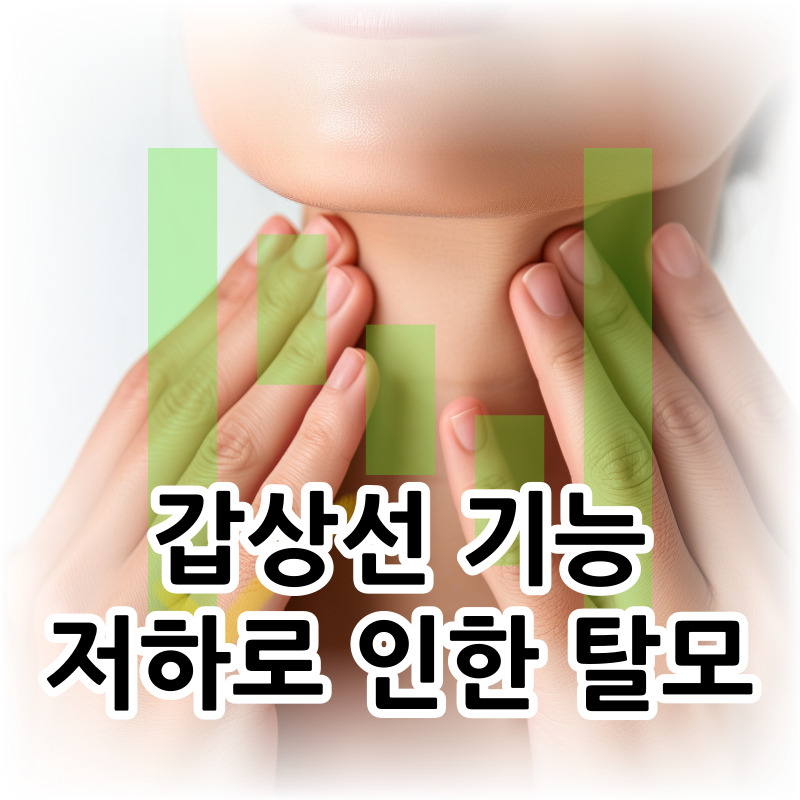 갑상선-저하-탈모