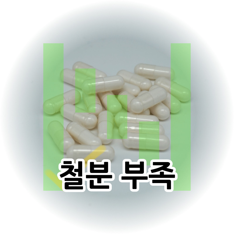 철분-부족