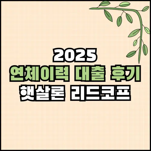연체이력 대출 후기