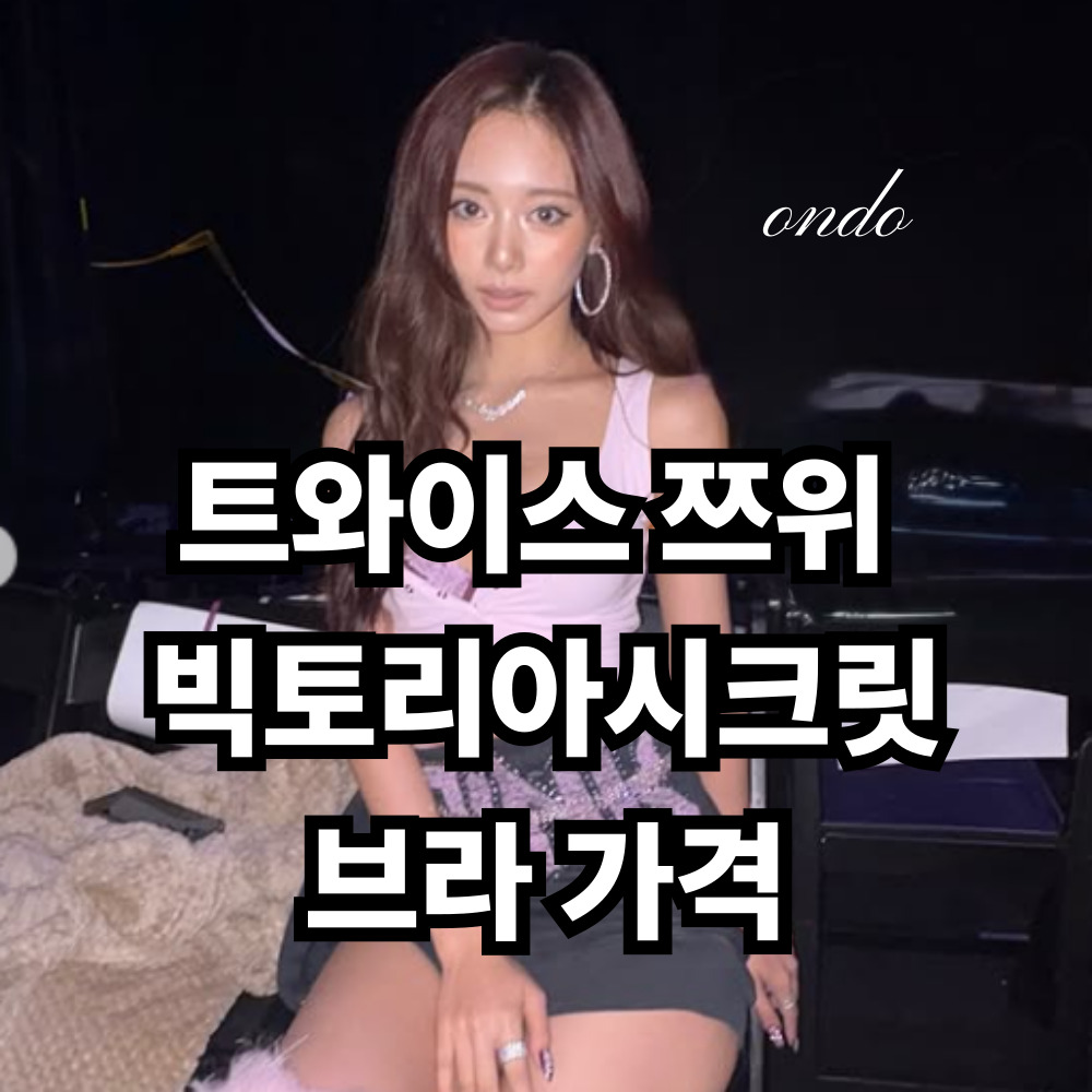트와이스 쯔위 빅토리아시크릿 무대 의상 완판